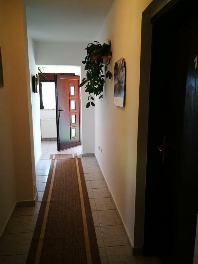 Apartman Marija Brajdic ราโควิซา ภายนอก รูปภาพ